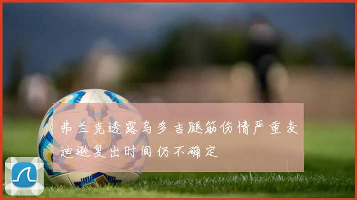 弗兰克透露乌多吉腿筋伤情严重麦迪逊复出时间仍不确定