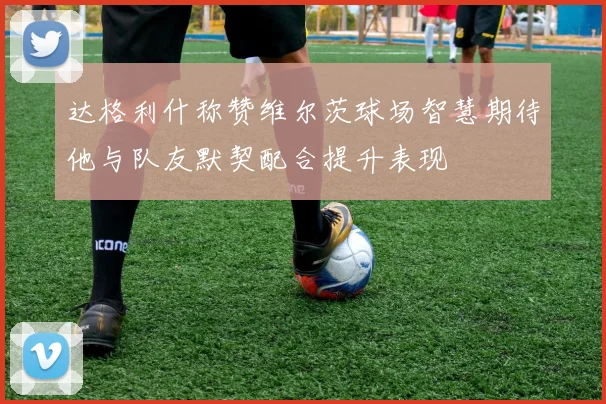 达格利什称赞维尔茨球场智慧期待他与队友默契配合提升表现