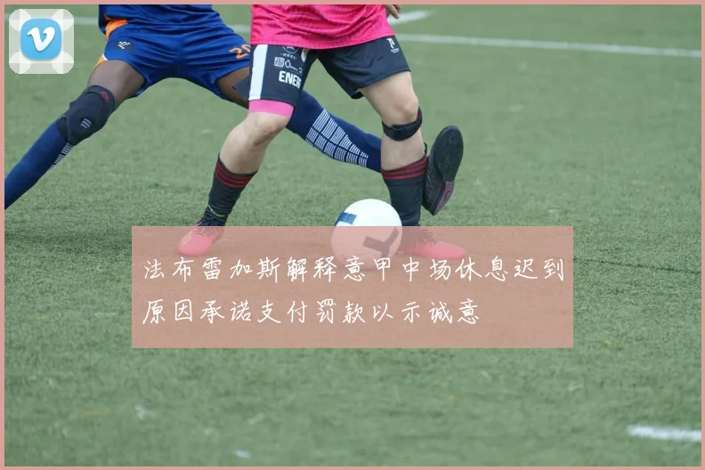 法布雷加斯解释意甲中场休息迟到原因承诺支付罚款以示诚意