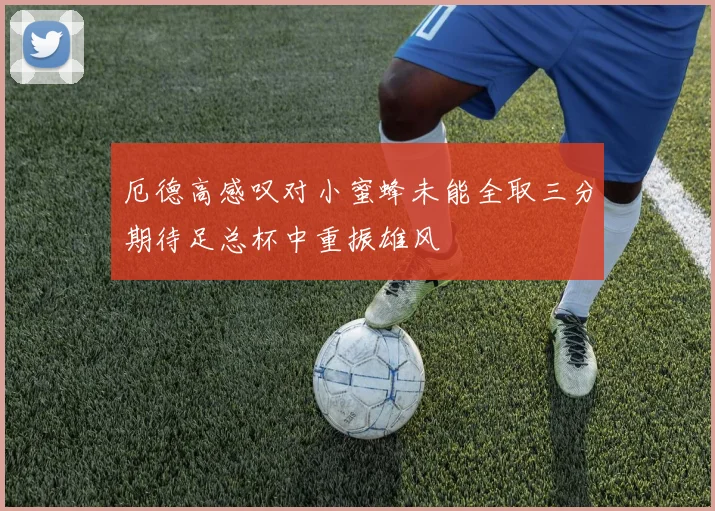 厄德高感叹对小蜜蜂未能全取三分期待足总杯中重振雄风